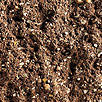 alpsky plot hneda 163 3