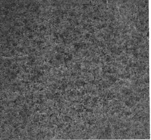 FLTUNCOAT 300x277 1